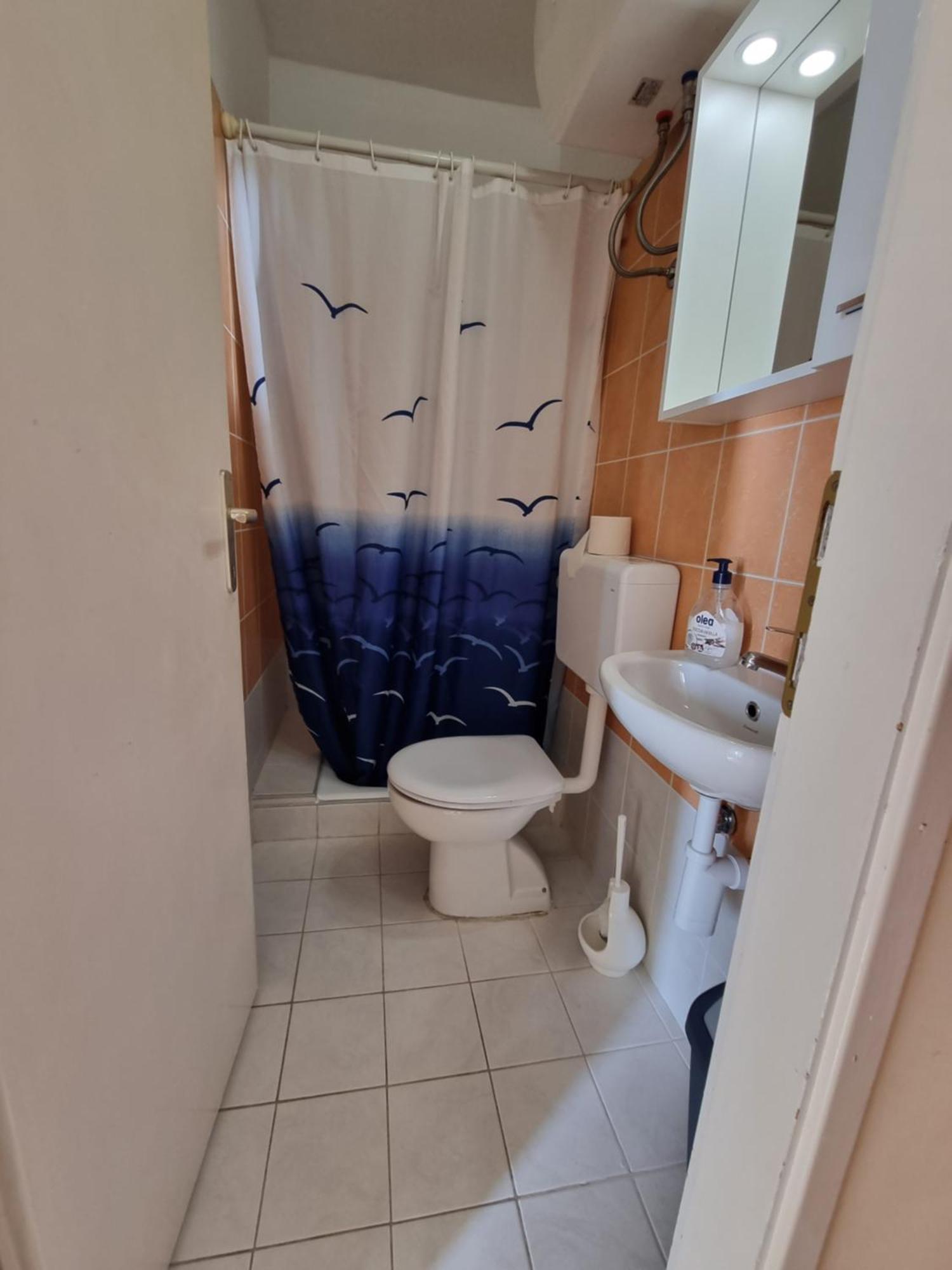 Apartmani Apollo - Drasnice Bilik gambar